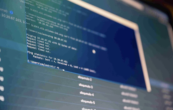 How Does Sentant Align IT and Security to Protect Both People and Data?